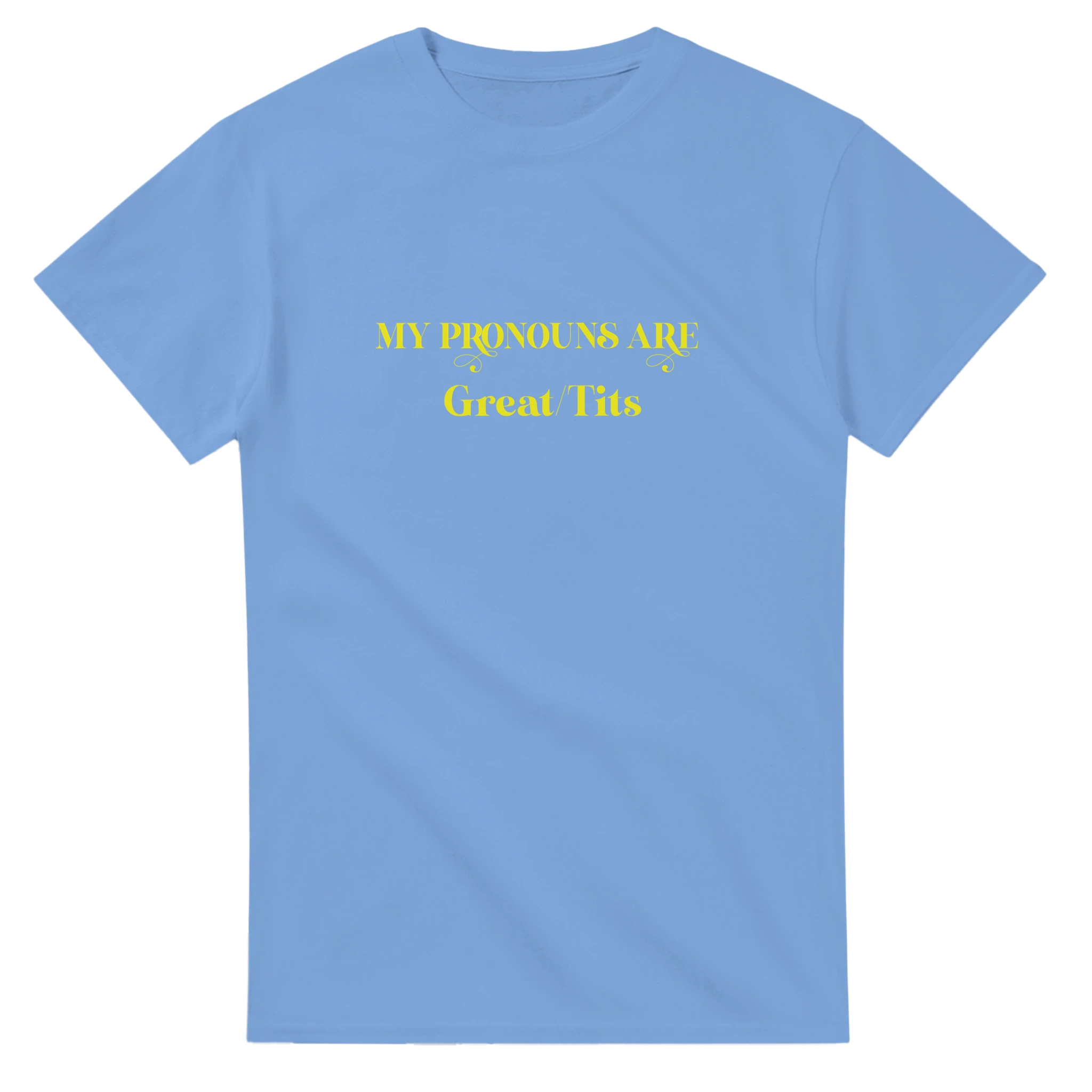 MY PRONOUNS ARE GREAT TITS ADULT NOVELTY TSHIRT LIGHT BLUE