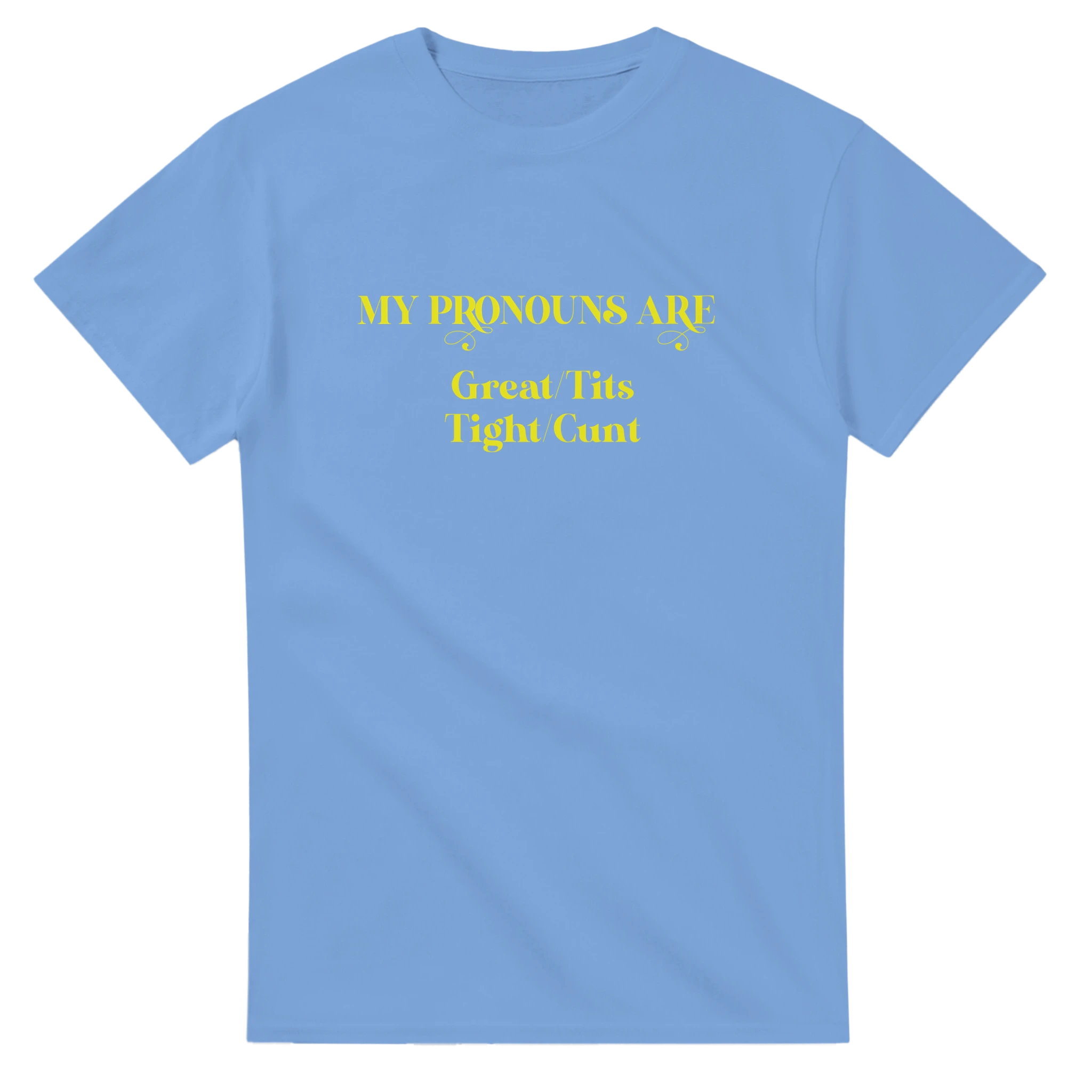 MY PRONOUNS ARE GREAT TITS TIGHT CUNT NOVELTY ADULT TSHIRT LIGHT BLUE